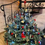 Kukulka Mazury 3* Ruciane-Nida