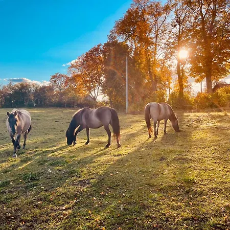 Kukulka Mazury 3* Ruciane-Nida