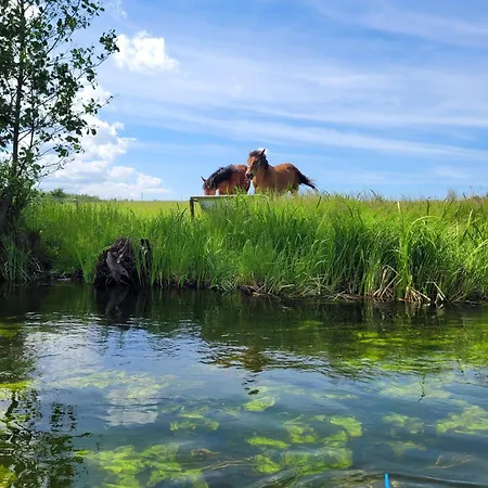 Kukulka Mazury 3*