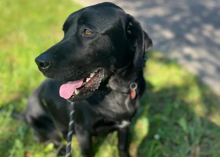 Kukulka Mazury Affittacamere 3*